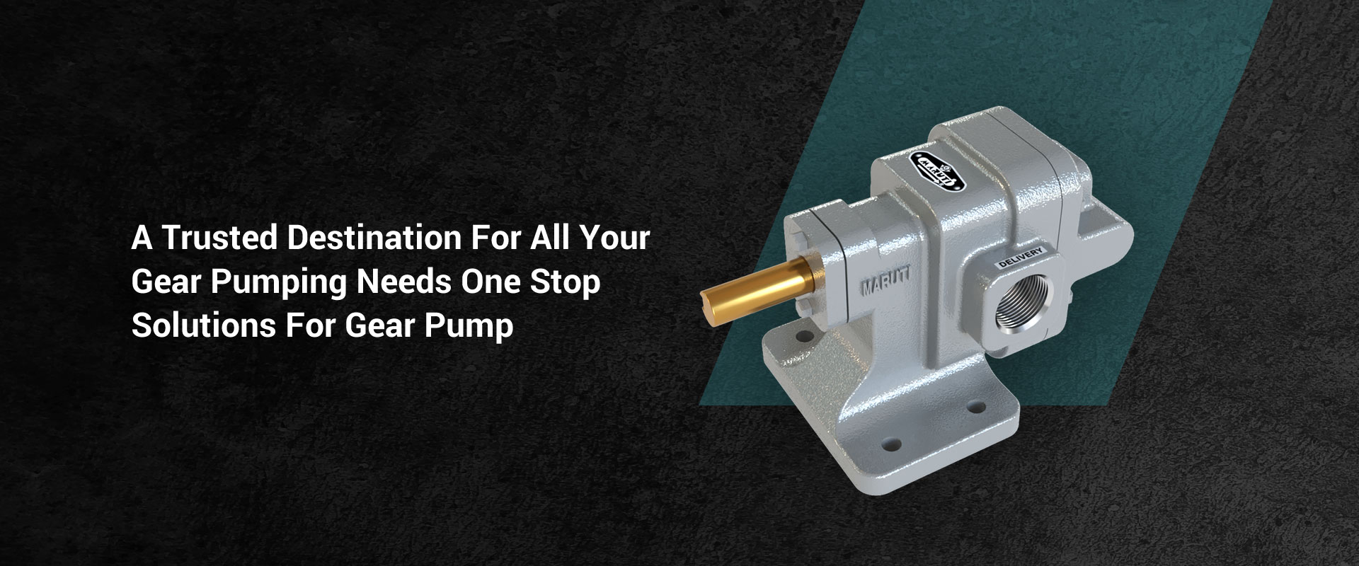 Heavy Duty Gear Pump from India