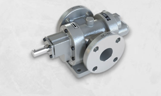 Stainless Steel Rotary Gear Pump Manufacturer